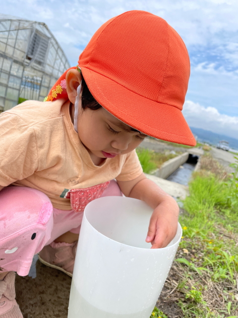 保育ママ　おひさま