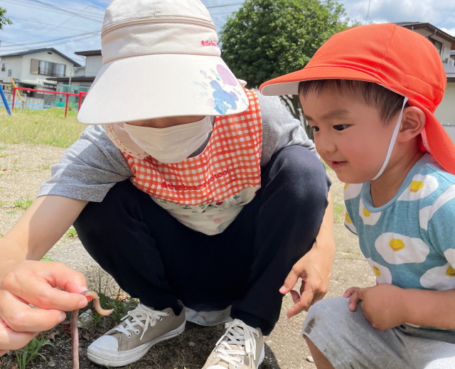 保育ママ　おひさま